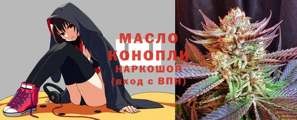 спиды Богородск