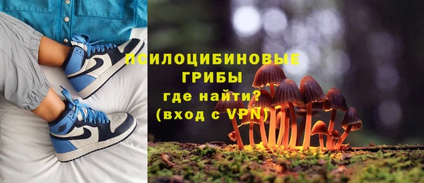 прущая мука Богданович