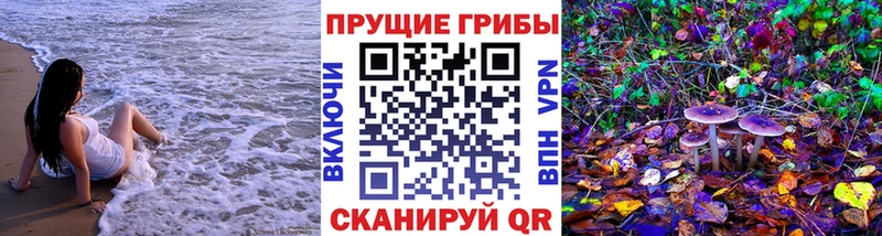 Галлюциногенные грибы Psilocybine cubensis  Белоусово 